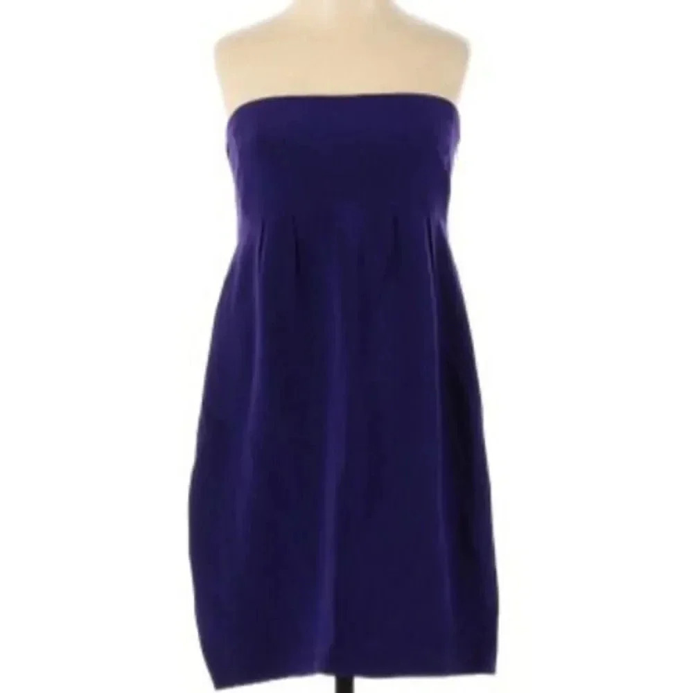 Jenni Kayne Strapless Mini Dress 100% Silk Purple Side Zip Size 4